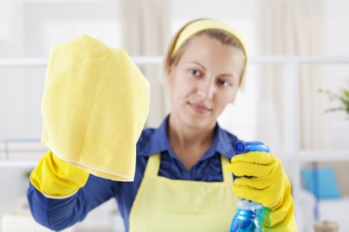 Carpet cleaning team introducing Alperton Carpet Cleaners