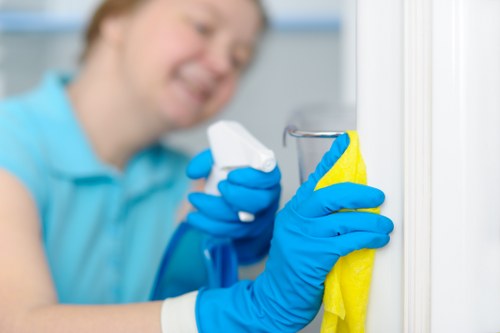 Carpet and upholstery stain treatment in Alperton