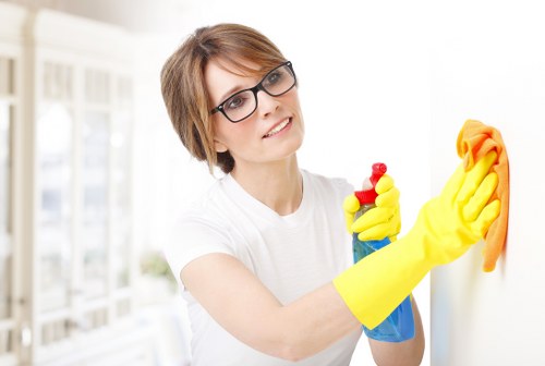 Assessment of carpet cleaning concern in progress