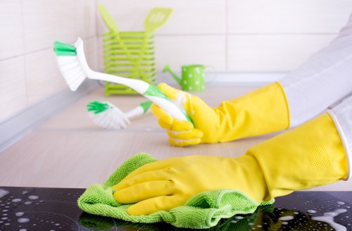 Professional pet stain odour removal from upholstery