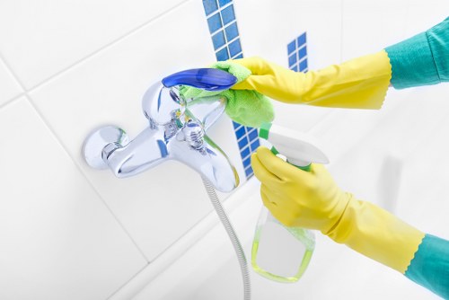 Professional carpet cleaner inspecting a room before treatment