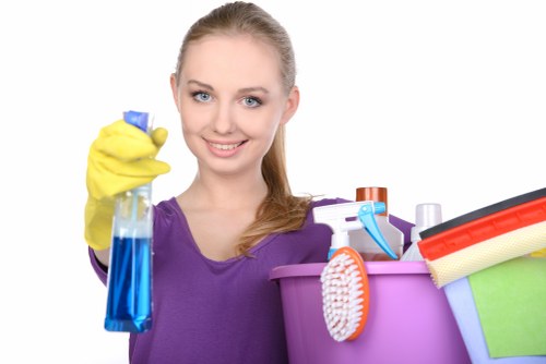 Deep cleaning carpet fibres to remove pet smells